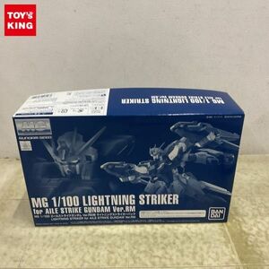 1 jpy ~ MG 1/100 Mobile Suit Gundam SEEDe-ru Strike Gundam ver.RM for lightning striker pack 