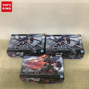 1 jpy ~ HG 1/444 Rising freedom Gundam black Night s code siva other 