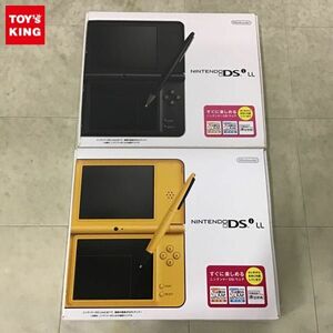 1 иен ~ перемещение ./ первый период . settled soft DL не возможно Nintendo DSi LL UTL-001(JPN) темно-коричневый, желтый 