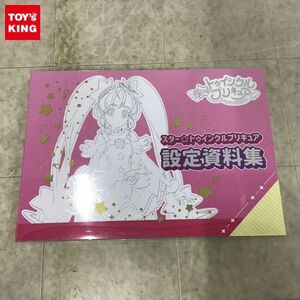 1円〜 スター☆トゥインクル プリキュア 設定資料集