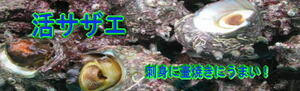  Япония море Садо производство сырой .. максимально высокий ...., сырой .. -.....2kg 5!