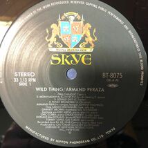 i LP Aramnd Peraza アルマンド・ペラーサ ワイルド・シング WILD THING レコード 5点以上落札で送料無料_画像3