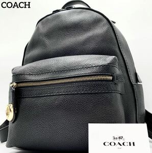 667【極美品・激レア】COACH コーチ 35608 リュックサック バックパック デイパック 30 ターンロック コーチ金具 レザー ユニセックス 黒