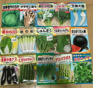 野菜の種　ばくだん娘　スイカ入り