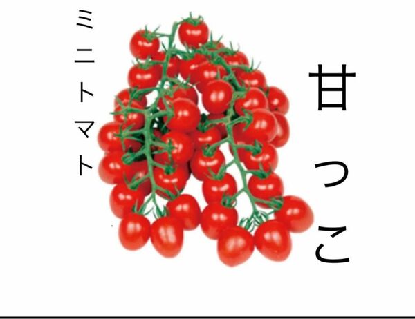 野菜の種　ミニトマト　甘っこ