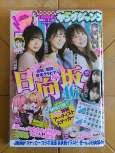 週刊ヤングジャンプ 2021年4月8日号・日向坂46(小坂菜緒・齊藤京子・加藤史帆・東村芽依・山口陽世)　特別付録 特製アーティストステッカー