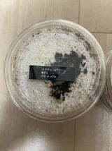 パリーオオクワガタ　幼虫　菌糸カップ入り　5＋1補償　WF1 _画像1