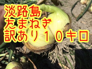 [10 kilo with translation ] Awaji Island new onion . raw tama welsh onion sphere leek onion the 7 treasures 