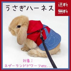 【レア商品】うさぎ ハーネス リード オーバーオール風(小動物 ウサギ うさんぽ 部屋んぽ へやんぽ 散歩 洋服 バックル付き うさちゃん)