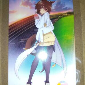 劇場版 ウマ娘 プリティーダービー 新時代の扉 ディッパーダンクレープ アグネスタキオン オリジナルラミカ カード 特典