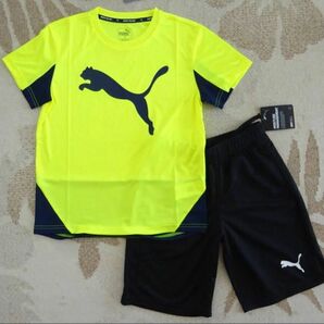 新品★130★PUMA プーマ★快適!!ビッグロゴ半袖Tシャツ(イエロー 黄色)・ハーフパンツ(ブラック 黒)