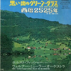 C00195498/EP/ウェルナー・ミューラー・オーケストラ「思い出のグリーン・グラス/西暦2525年」