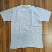 Champion T1011 Tシャツ UofB カレッジ アメリカ製 染込_画像4