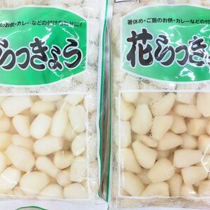 花らっきょう らっきょう甘酢漬け 計1kg（500g×2袋）漬物 おかず 一品 箸休め ご飯のお供 カレーの付け合わせなどに