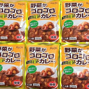 最安値☆ 野菜がゴロゴロカレー【中辛】250g×6袋 具だくさんレトルトカレー 常備食 キャンプ飯