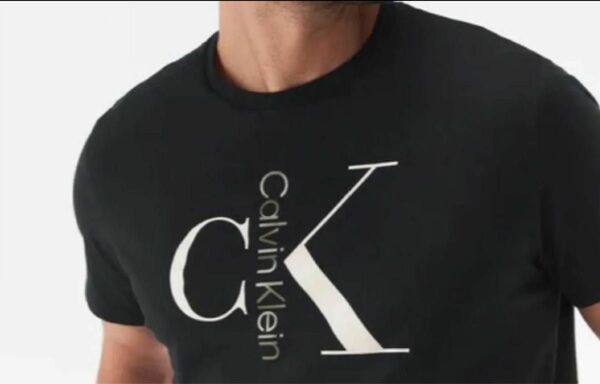 新品 Calvin Klein カルバン クライン メンズ　ビッグロゴ　Tシャツ