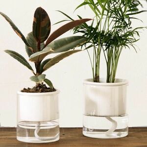 【未使用品】底面給水　鉢　陶器　ガラス　植木鉢　底面給水鉢　観葉植物　さわやか　おしゃれ　ナチュラル　楽　3号