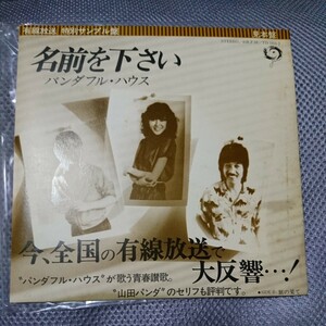 (見本盤)パンダフルハウス 名前を下さい 山田パンダ シングルレコード TD1055