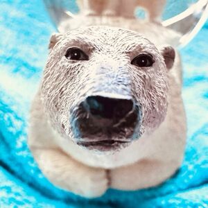 TWINKLE スノードーム 白熊親子 未使用 北極熊 シロクマ 白くま 親子 生産終了品 トゥインクル 激レア スノードーム協会
