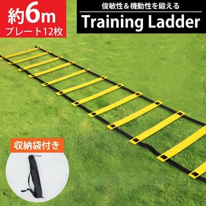  лестница тренировка 6m тренировочная лестница plate 12 листов легкий высокая мощность упаковочный пакет имеется футбол корзина li - bili диета .tore