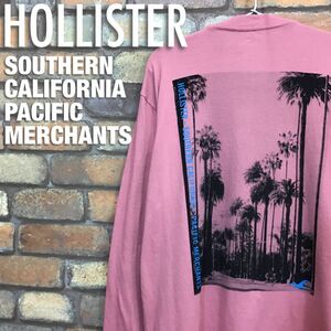 ★USA仕入★正規品★【HOLLISTER ホリスター】両面 スクエアプリント 長袖 Ｔシャツ[メンズ L]サーモンピンク カリフォルニア 椰子 K2-893