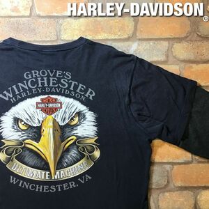 ★本場USA直輸入★BIGサイズ!!★【Harley-Davidson】特大白頭鷲 サーマル フェイクレイヤー 長袖Tシャツ【メンズ XL】黒 バイカー K3-246