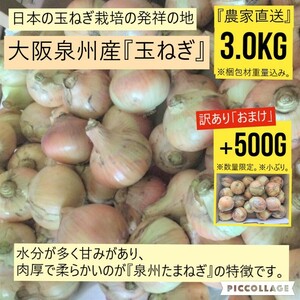 【新鮮】 【農家直送】玉ねぎ　約3.0kg　大阪泉州産　泉州たまねぎ　おまけ