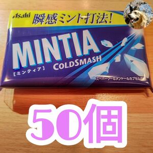 アサヒ　ミンティア　コールドスマッシュ　50粒入り　50個