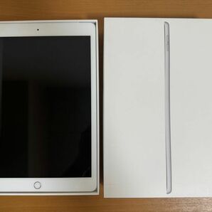 iPad 第7世代 Wi-Fi + Cellular 32GB シルバー MW6C2J/A A2198 動作確認済