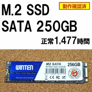 正常 1,477時間】M.2 SSD 256GB SATA winten 動作確認済 042701