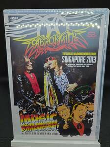 【送料無料】美品 Aerosmith エアロスミス Singapore 2013