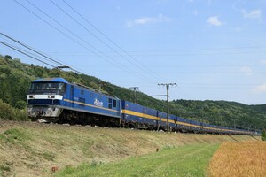 鉄道写真 EF210 342 セイノーコンテナ