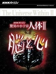 【送料無料】NHKスペシャル 驚異の小宇宙 人体II 脳と心 DVD BOX 【DVD】 NSDX-23207-NHK