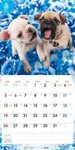 フレンチ・ブルドッグ PICTWAN (ピクトワン) カレンダー DOG 【S版】 2024年カレンダー24CL-50037S_画像9