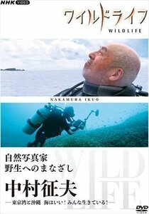 新品 ワイルドライフ 自然写真家 野生へのまなざし 中村征夫 DVD 【DVD】 NSDS-25615-NHK