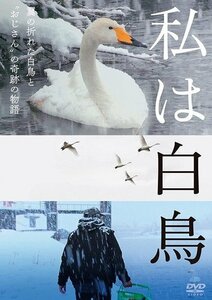 私は白鳥 澤江弘一, 天海祐希 (DVD) TCED6692-TC