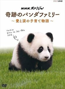 新品 NHKスペシャル 奇跡のパンダファミリー ~愛と涙の子育て物語~ / (DVD) NSDS-22619-NHK