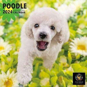 プードル PICTWAN (ピクトワン) カレンダー DOG 【S版】 2024年カレンダー24CL-50039S