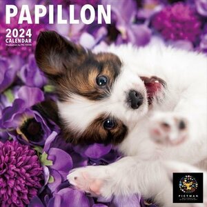 新品 パピヨン PICTWAN (ピクトワン) カレンダー DOG 【L版】 2024年カレンダー24CL-50017L