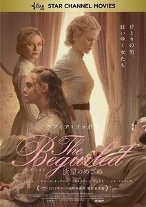 The Beguiled ビガイルド 欲望のめざめ コリン・ファレル、ニコール・キッドマン 【DVD】 TCED4197-TC