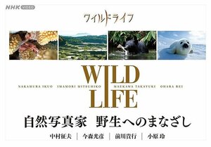 ワイルドライフ 自然写真家 野生へのまなざし BOX DVD 【DVD】 NSDX-25619-NHK