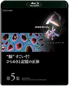 発売 NHKスペシャル 人体　神秘の巨大ネットワーク第５集 脳すごいぞ！ひらめきと記憶の正体 (Blu-ray) NSBS-22977-NHK