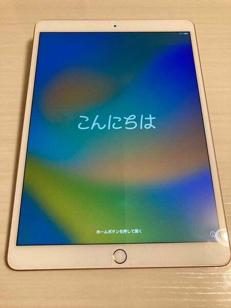 【ジャンク】iPad Air 第3世代 256GB