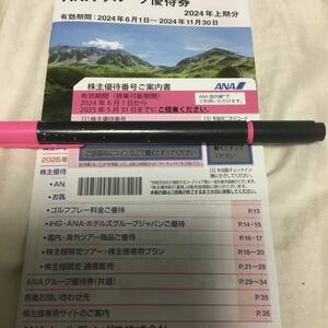 ANA 株主割引券（1枚）＋株主優待冊子（1冊）　搭乗期限2024年11月30日　送料S