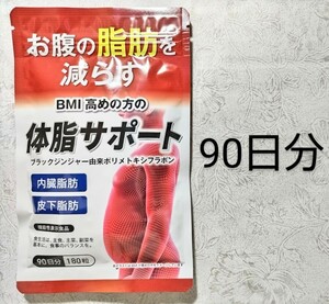 体脂サポート　90日分