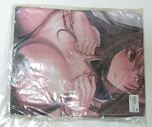 * cancel un- possible * * unopened regular goods Dakimakura AMAINEIRO Shirakawa . flower Dakimakura cover bunny girl ver. heaven sound ..