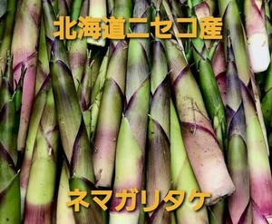 nema канава dakenema канава taketakenoko бамбук. . Hokkaido niseko производство натуральный прохладный рейс 5 kilo 
