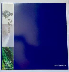 極美品 アナログ くるり /TEAM ROCK VIJL60085 ワンダーフォーゲル ばらの花 2枚組 レコード