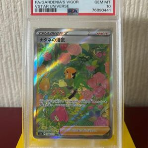 ポケモンカード ナタネの活気 SAR PSA10 243/172 美品 最安値 即日発送