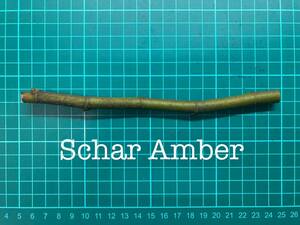 いちじく Schar Amber 挿し穂 1本（穂木・挿木）@1854